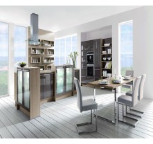 pictures of modern kitchens fashion