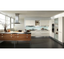 white gloss kitchen cabinet doors