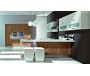 kitchen cabinets design pictures