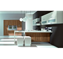 kitchen cabinets design pictures L shape cabinet