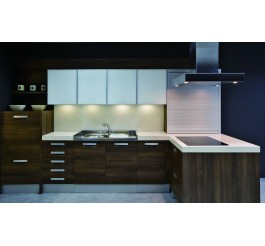 design of kitchen cabinets retro design