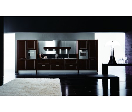 kitchen cabinets modern design puce color