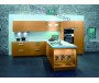 custom kitchen cabinet color combination