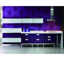 high gloss kitchen cabinet design